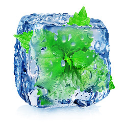 Image showing Mint in ice cube