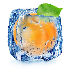 Image showing Apricot in ice cube