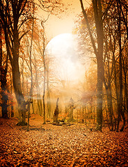 Image showing Autumn forest and the moon