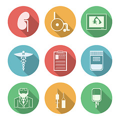 Image showing Colored vector icons for nephrology