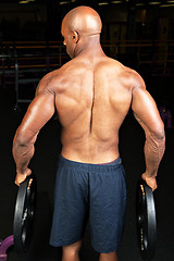 Image showing Muscular Back