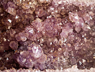 Image showing amethyst crystals druse