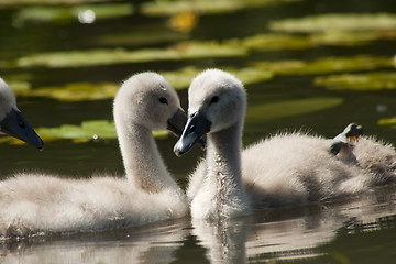 Image showing siblings