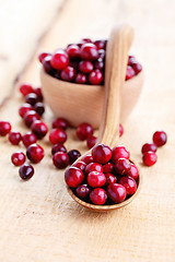 Image showing cranberries