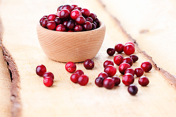 Image showing cranberries