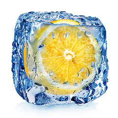 Image showing Lemon in ice cube