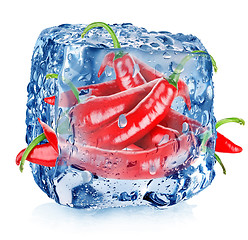 Image showing Red pepper in ice cube