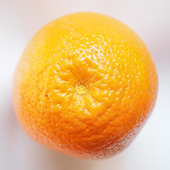 Image showing Orange fruit