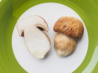 Image showing Porcini Mushroom