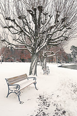 Image showing winter scenery