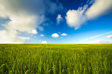 Image showing Beautiful green landscape