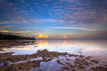 Image showing Tropical Beach