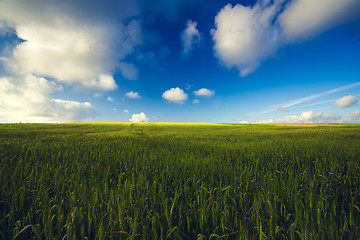 Image showing Beautiful green landscape