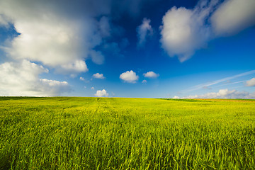 Image showing Beautiful green landscape