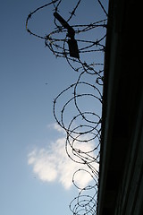 Image showing Barbed Wire