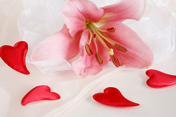 Image showing Romantic Valentine