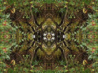 Image showing Ethnic pattern. Abstract kaleidoscope  fabric design.