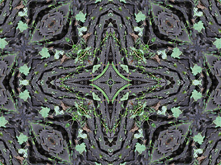 Image showing Ethnic pattern. Abstract kaleidoscope  fabric design.