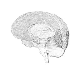 Image showing Creative concept of the human brain