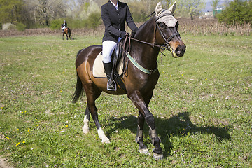 Image showing Girl rider and horse