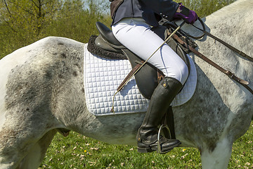 Image showing Young girl riding