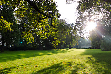 Image showing Summer Park