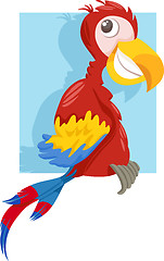 Image showing macaw parrot cartoon illustration