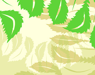 Image showing Leaf background