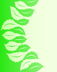 Image showing Leaf to leaf