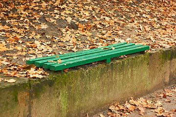 Image showing Green wooden bench among autumn leaves