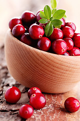 Image showing cranberries