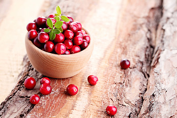 Image showing cranberries