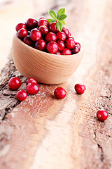 Image showing cranberries