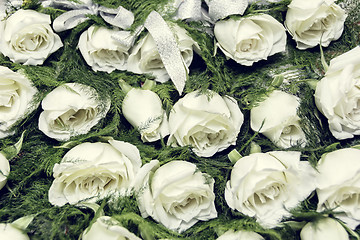 Image showing White Rose Boutonniere