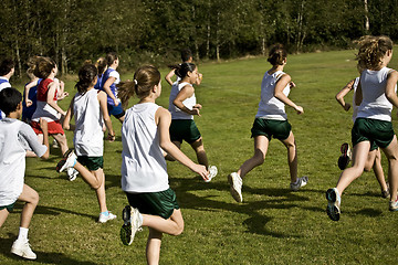 Image showing Cross Country Runners Leave the Starting Line