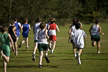 Image showing Cross Country Runners Leave the Starting Line