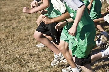 Image showing Cross Country Runners Leave the Starting Line