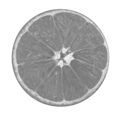 Image showing half oranges