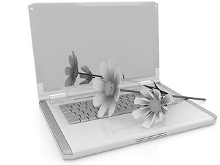 Image showing cosmos flower on laptop