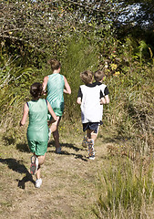 Image showing Cross Country Runners on a Wooded Trail