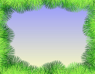 Image showing Palm fringe