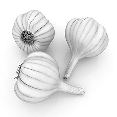 Image showing Head of garlic