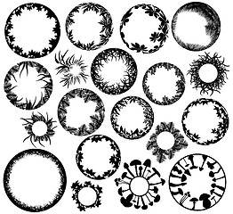 Image showing Plant rings