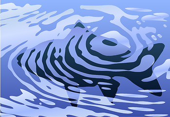 Image showing Rippled fish