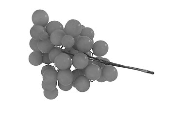 Image showing Grapes