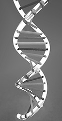 Image showing DNA structure model