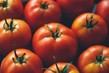 Image showing Ripe tomatoes