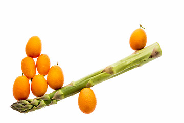 Image showing Seesaw Made From One Asparagus and Eight Kumquats