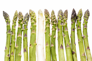 Image showing One White Asparagus Spear Among Twelve Green Ones