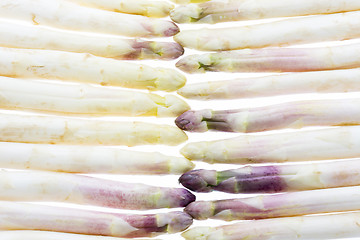 Image showing Wall Made of White Asparagus Spears
